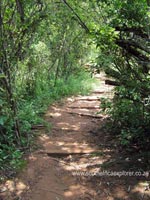 faerie glen nature reserve photo 1