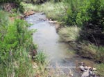 faerie glen nature reserve photo 2