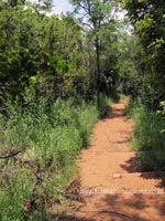 faerie glen nature reserve photo 3