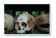cradle of humankind south african attractions